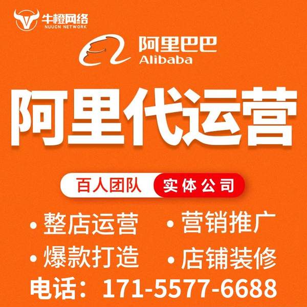 普洱电商代运营