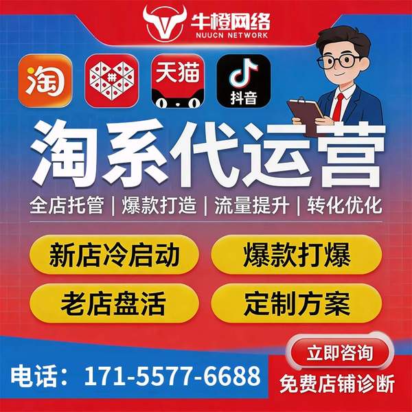 普洱电商代运营