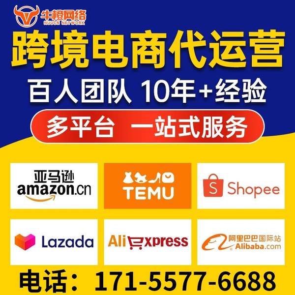 普洱电商代运营