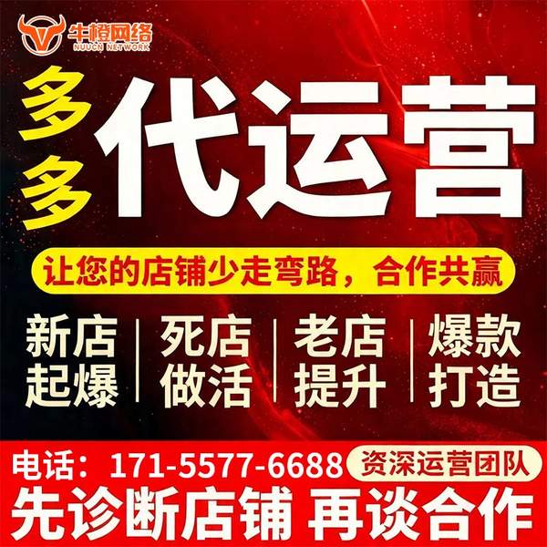 普洱电商代运营