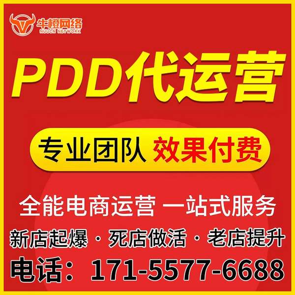 普洱电商代运营