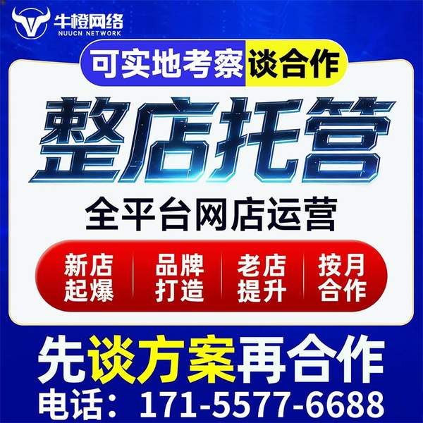 普洱电商代运营