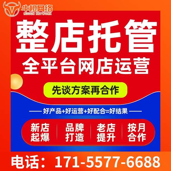 普洱电商代运营