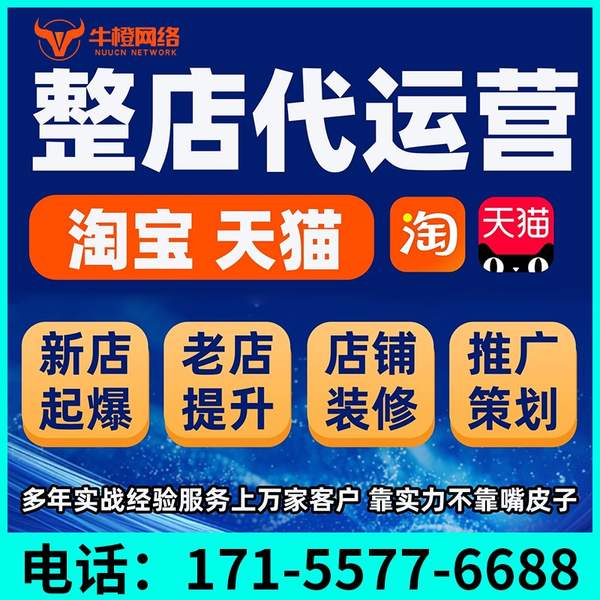 普洱电商代运营