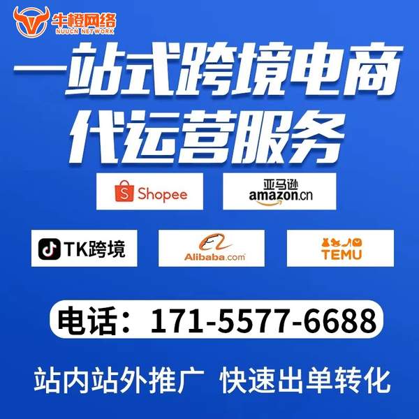 普洱电商代运营