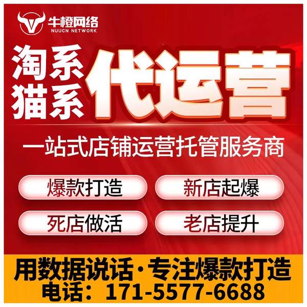 普洱电商代运营